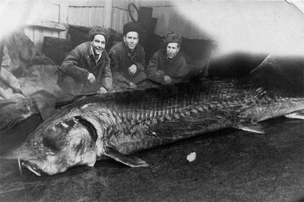 Foto 1920-e.jpg