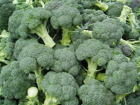 Kapusta-broccoli1.jpg
