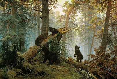 Bear 12.jpg