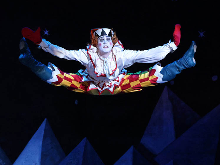 Potapcev Petrushka.jpg