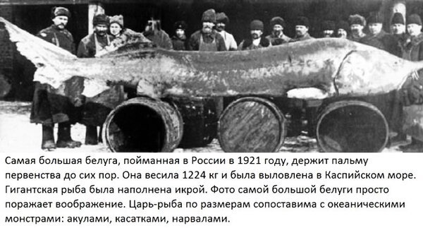 Foto 1921.jpg