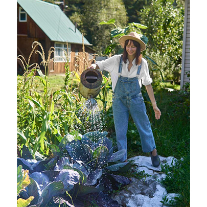 Файл:Dacha 1.jpg