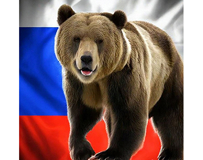 Bear 6.jpg